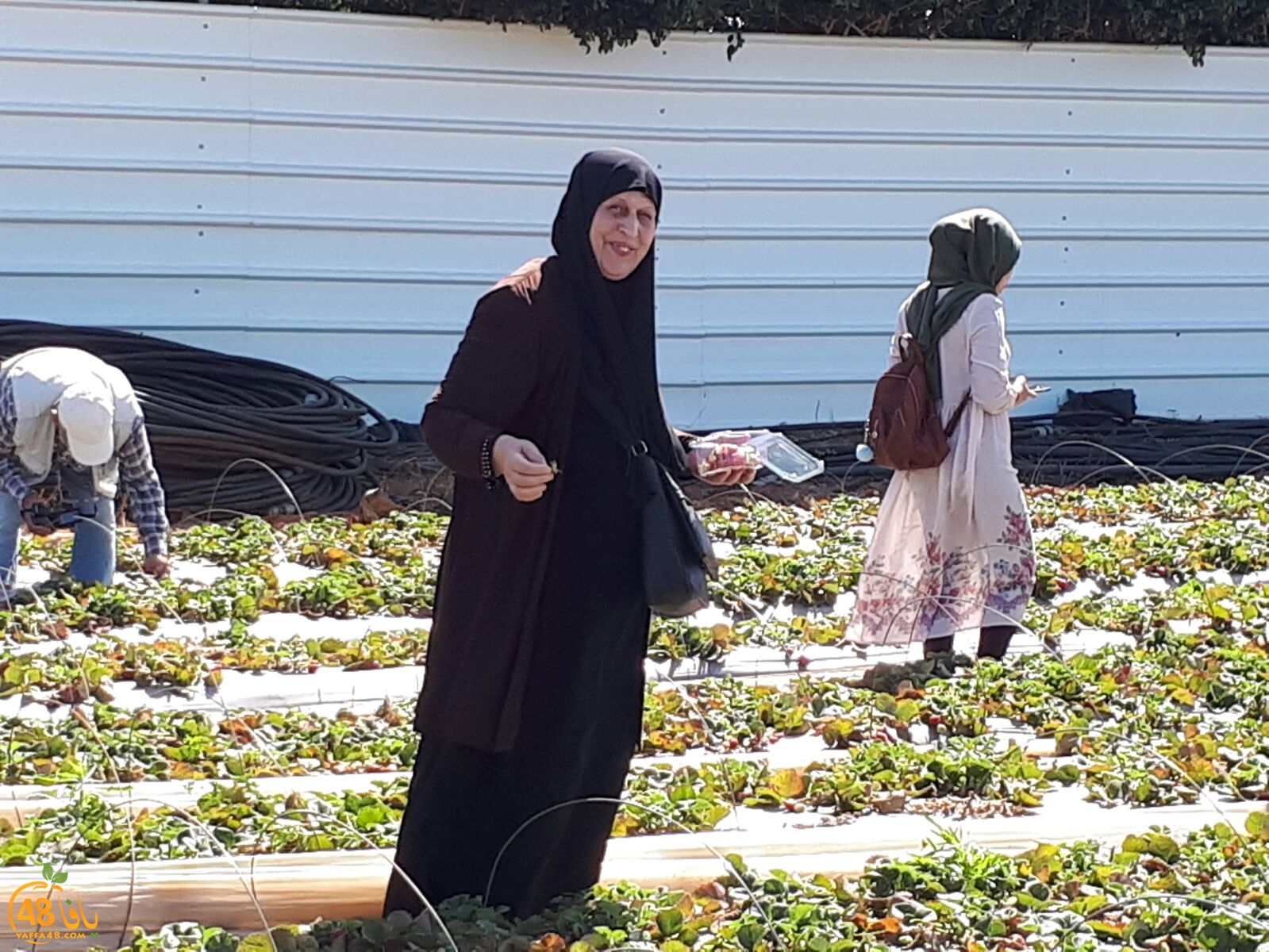 ab7bableaqsaa3 (33).jpg